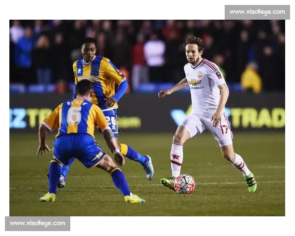 高清足球赛事直播APP下载指南畅享全球赛场精彩即时比分数据分析权威解说 - 副本 - 副本 - 副本 (33) - 副本 - 副本